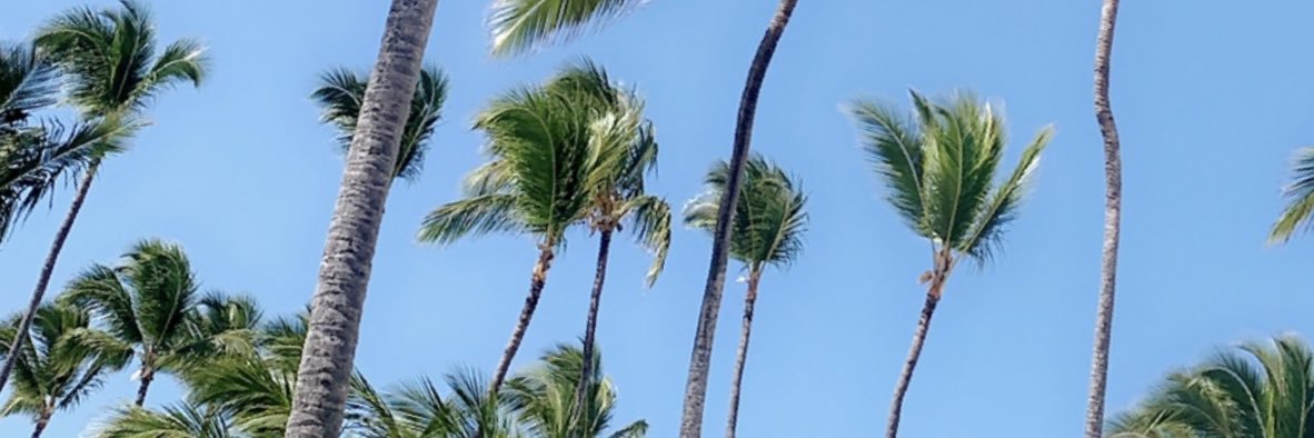 AllisonDupree's profile banner image