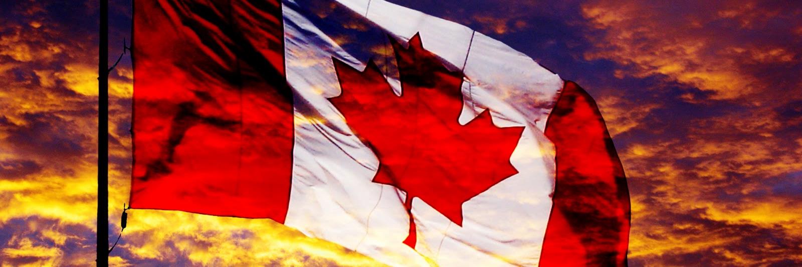 canadadingo's profile banner image