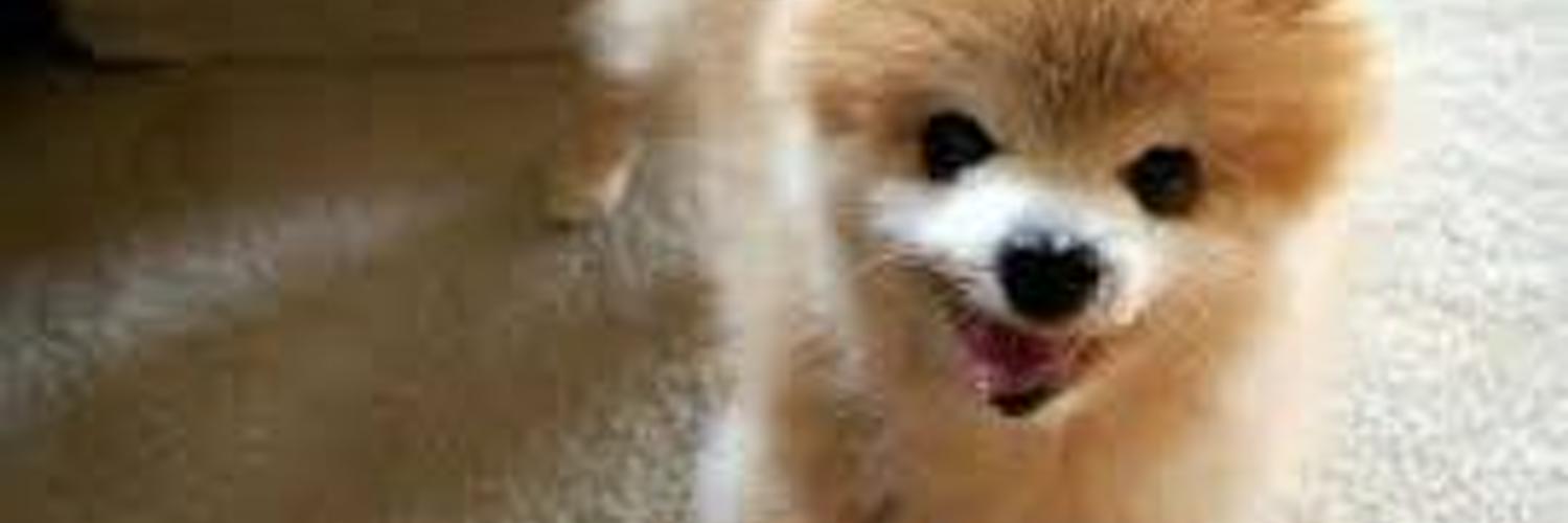 gdarmin1's profile banner image
