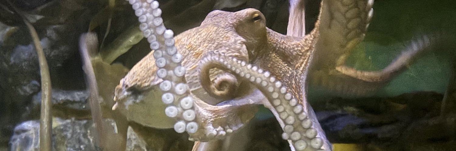 Sharonipeperoni's profile banner image
