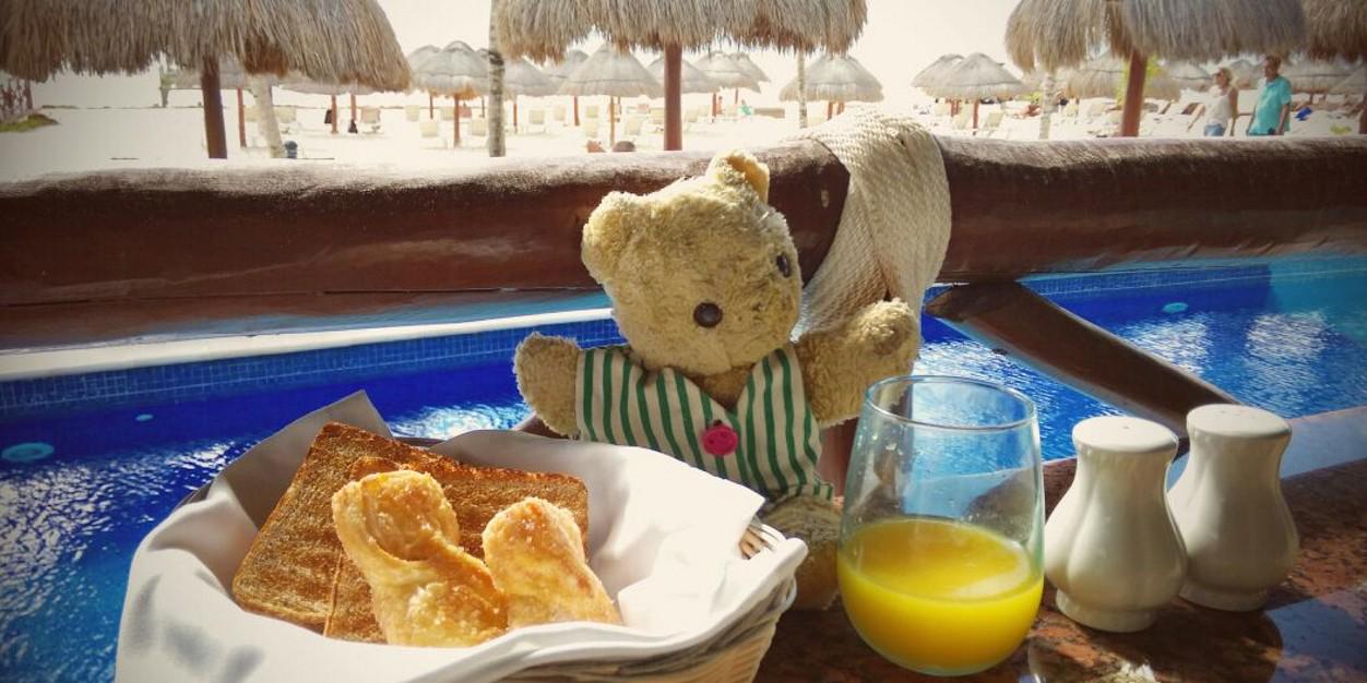 teddymartinbear's profile banner image