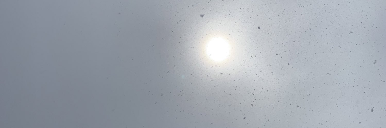 zh7rfh37's profile banner image