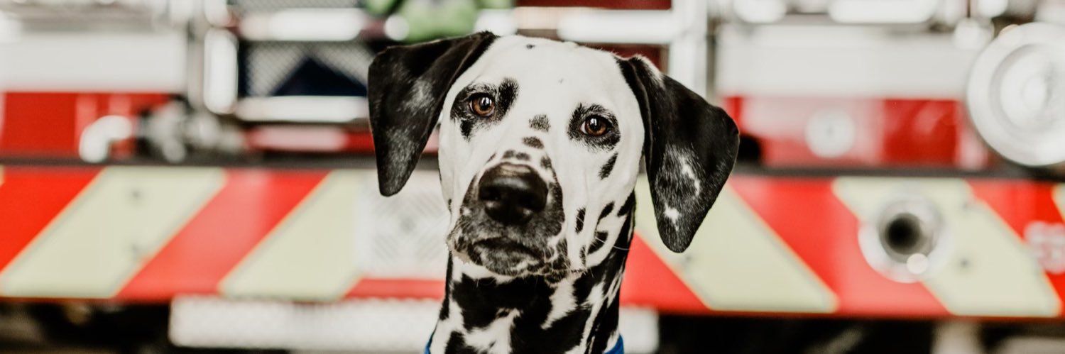 Denton County ESD No. 1 & 2 banner