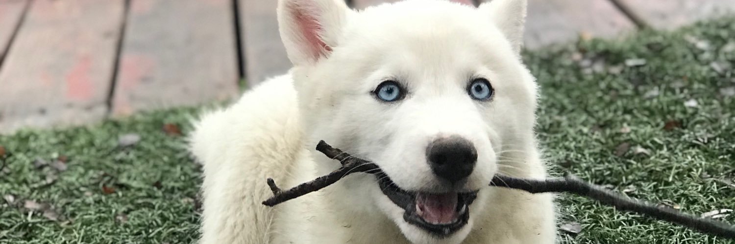 xxx_veee's profile banner image