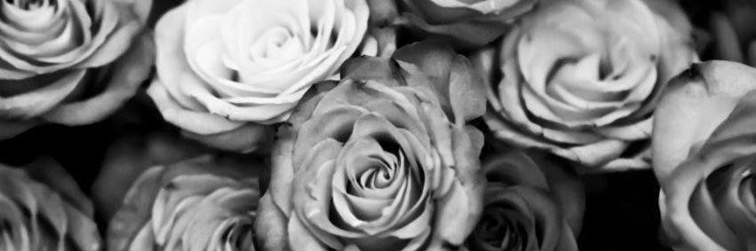 ozlemzbay's profile banner image