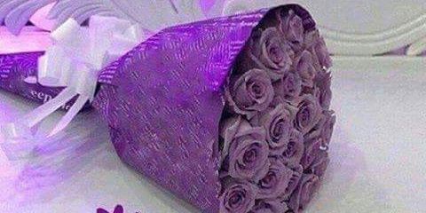 ghadaaomar's profile banner image