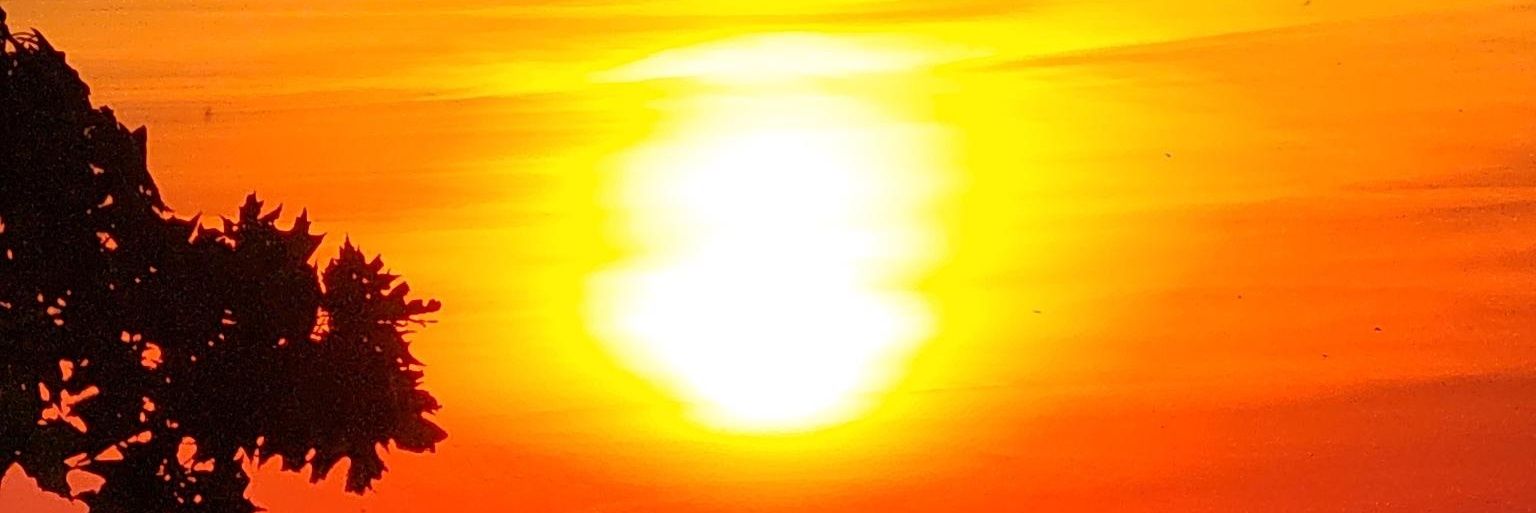 Oreally13's profile banner image