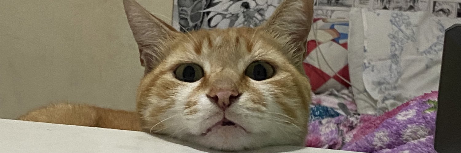 guidelherme's profile banner image