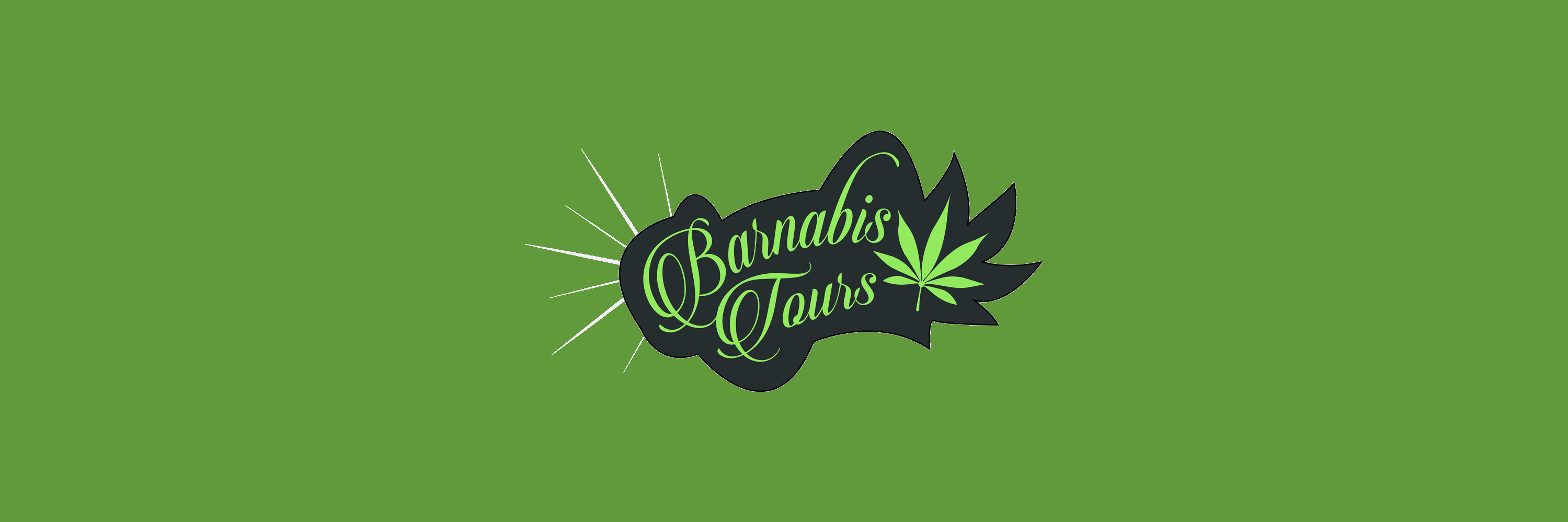 barnabistours's profile banner image