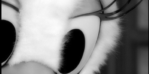 lukpeach1's profile banner image