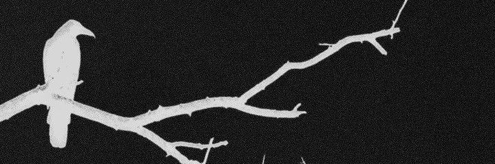 Ah95F's profile banner image