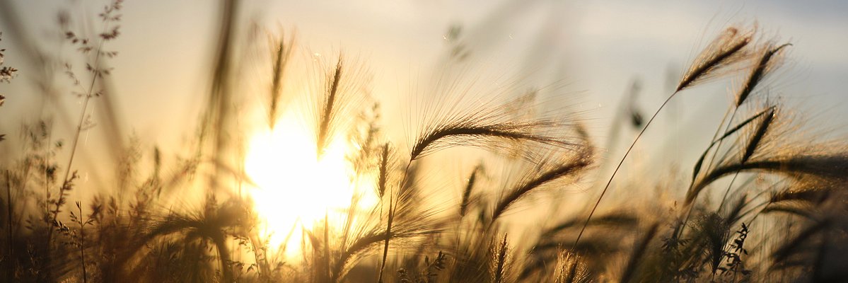 MrKelterborn's profile banner image