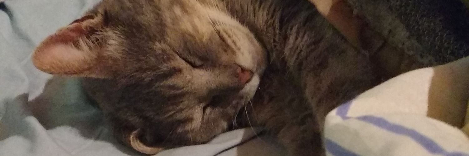AyeeRodriguez15's profile banner image