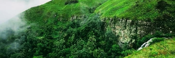 Busie_Lande's profile banner image