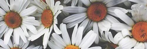 juliamartinez7's profile banner image