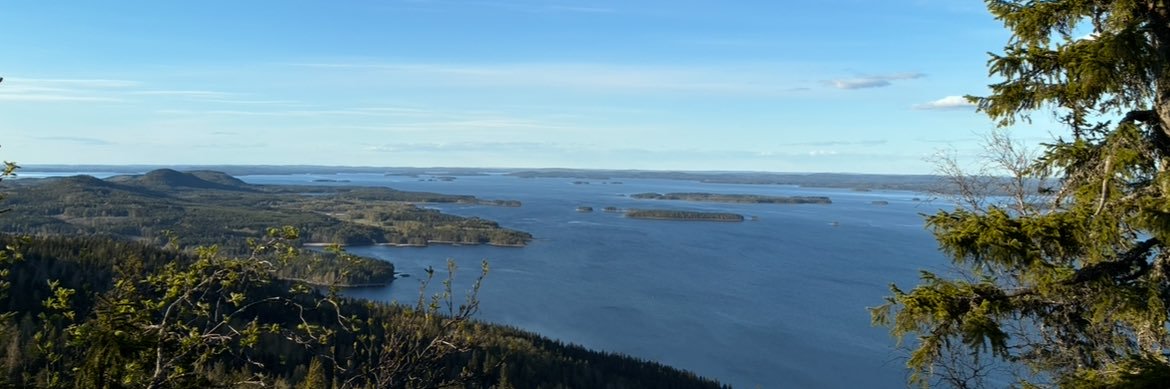 jurbelson's profile banner image