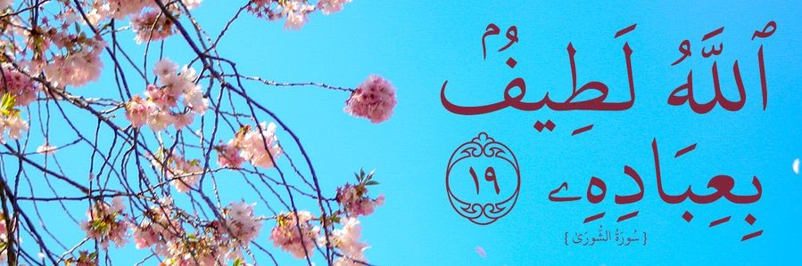 HamadaZayitun's profile banner image