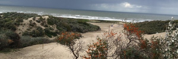 Gerbrandy Profile Banner