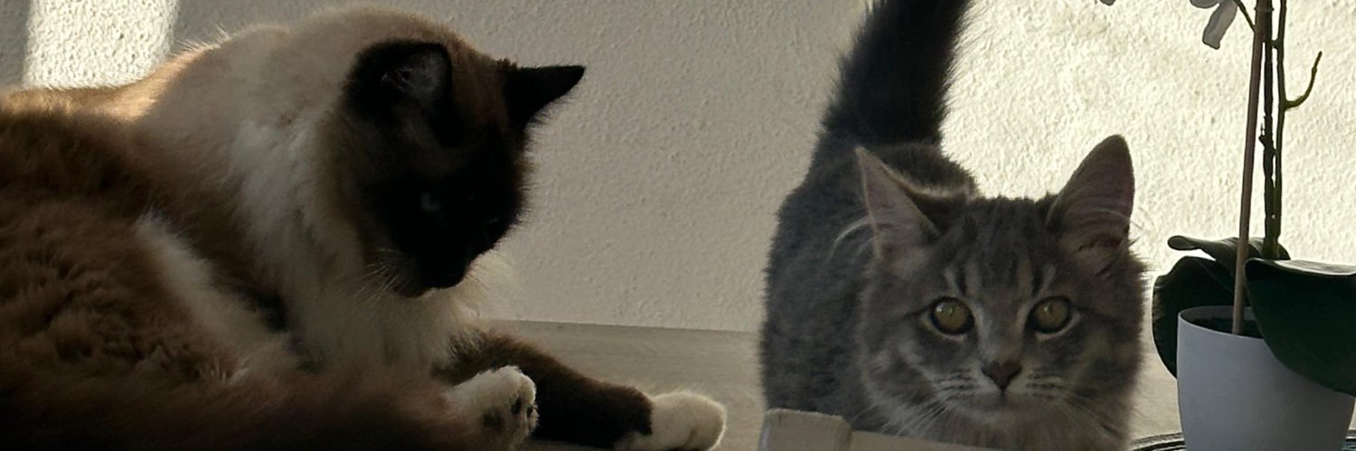 Soy_Emer's profile banner image