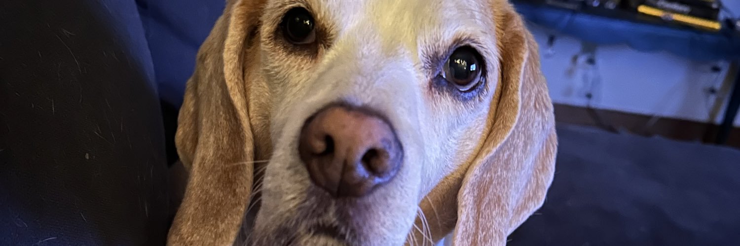 lorilarson701's profile banner image