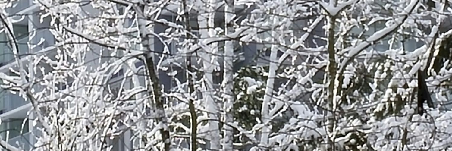 Got2Ask's profile banner image