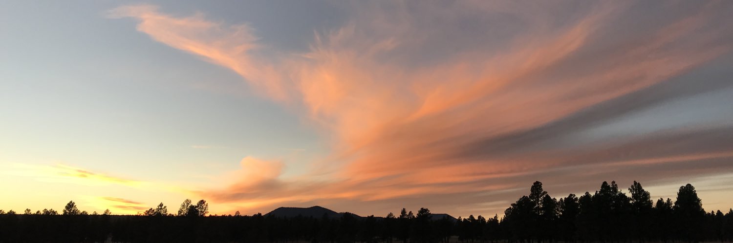 OhReiley33's profile banner image