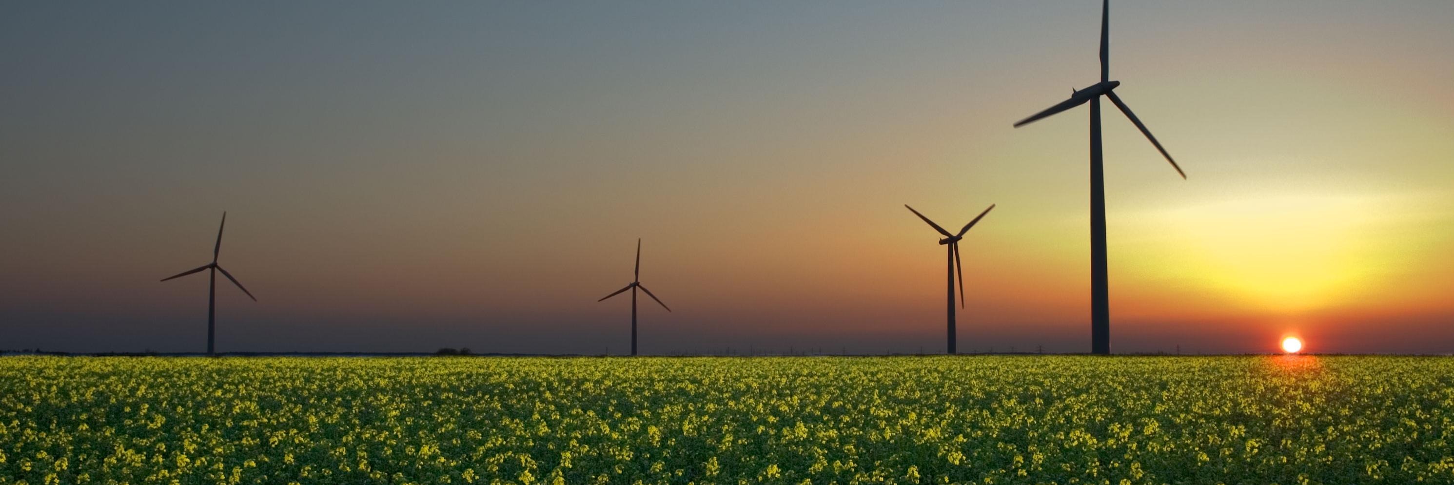 FossilFreeQUB's profile banner image