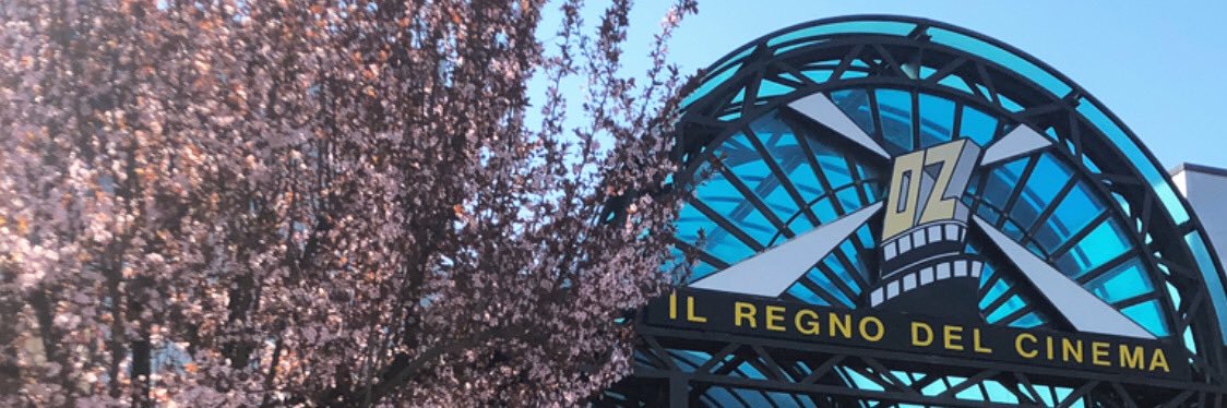 Il Regno Del Cinema banner
