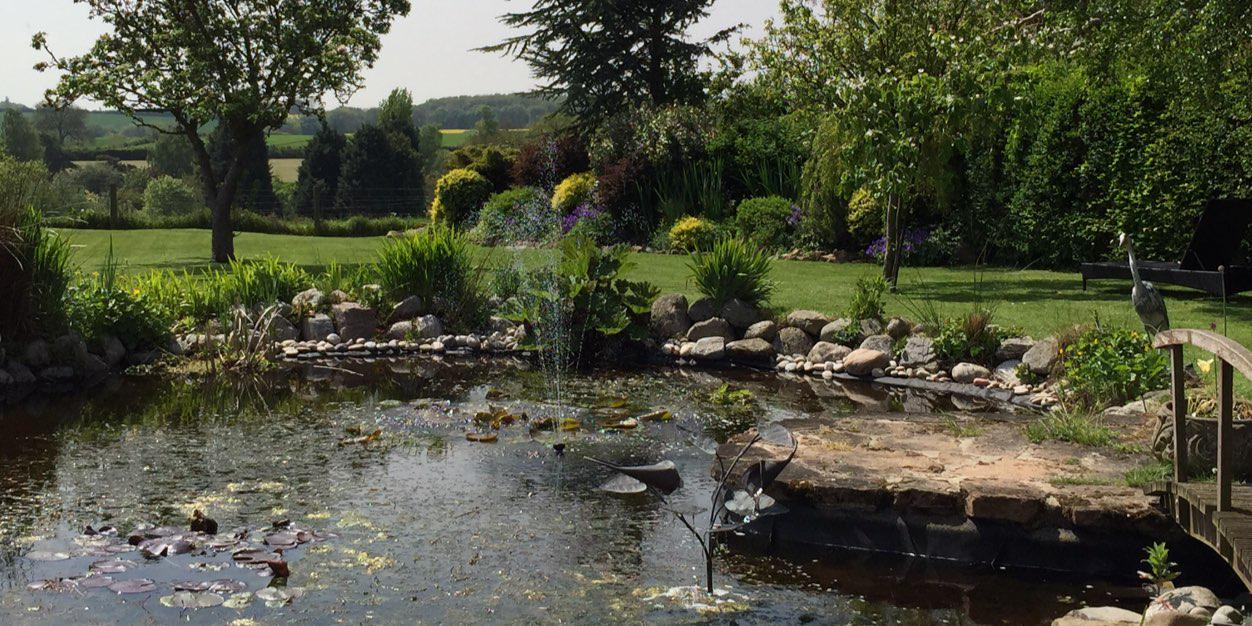 bridle_view's profile banner image