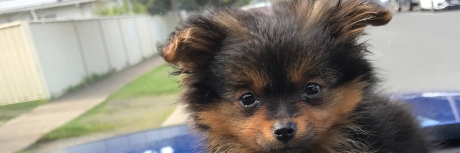 cameron sourbutts banner