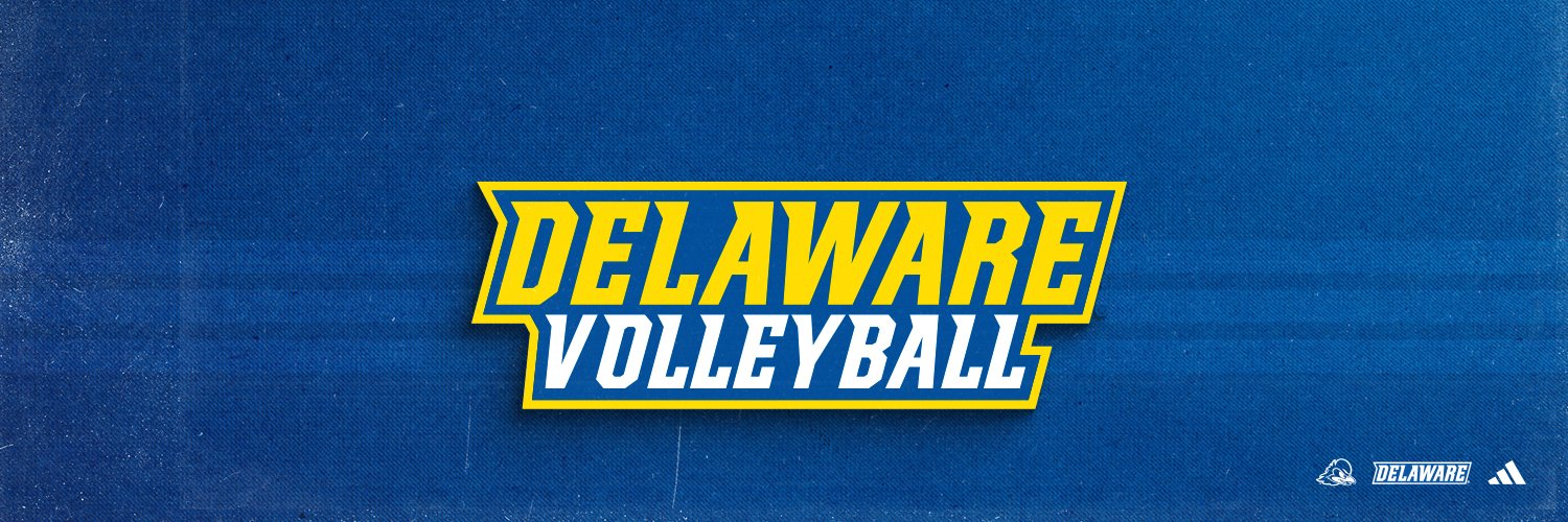 Delaware Volleyball's banner