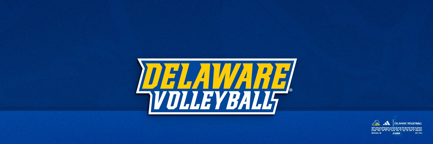 Delaware Volleyball banner
