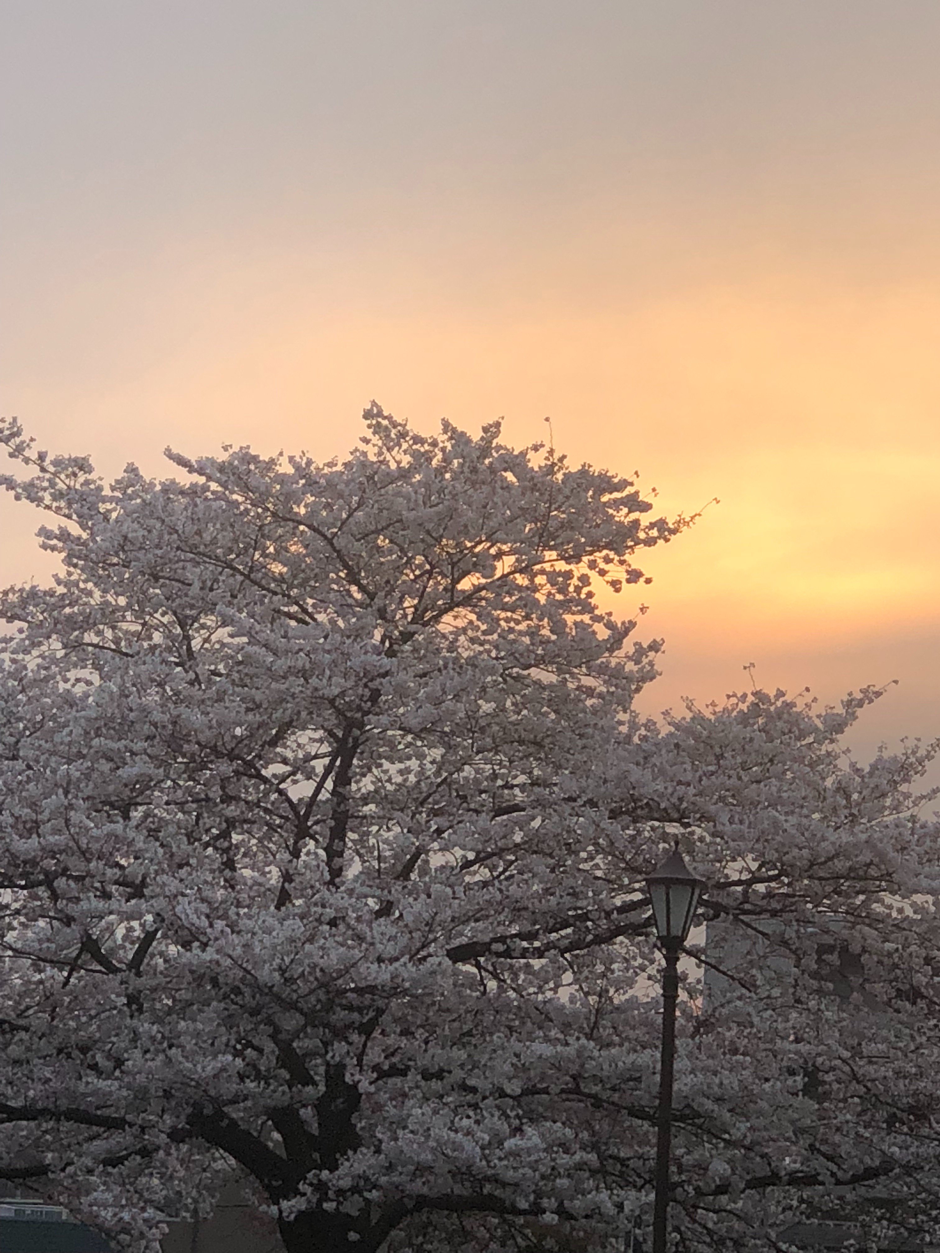 rfb7810's profile banner image
