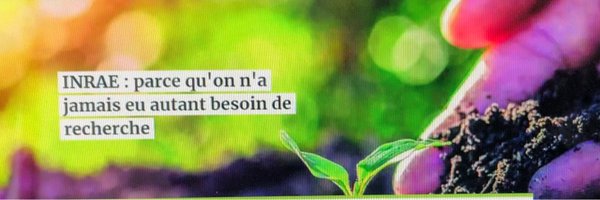PhMauguin Profile Banner