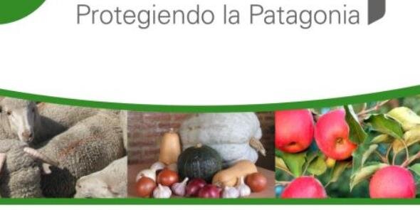 FunbapaOficial's profile banner image