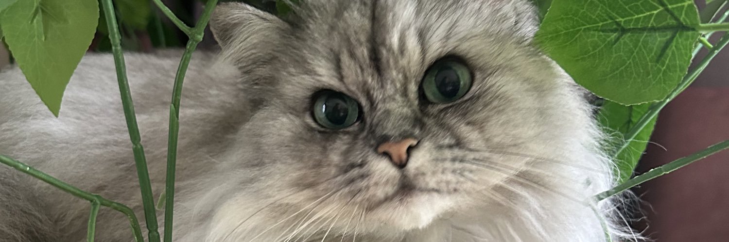 Nikkel__'s profile banner image