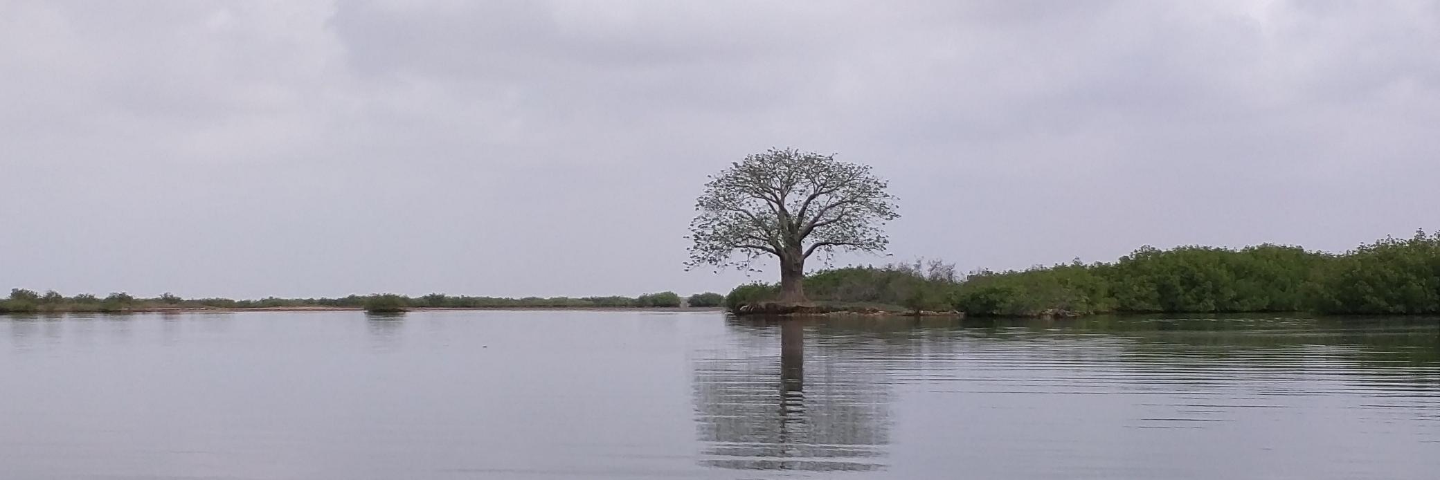 soukomalado's profile banner image