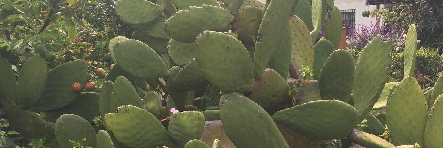 GisselStephani6's profile banner image