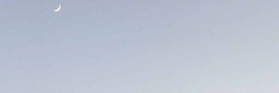 999321U's profile banner image