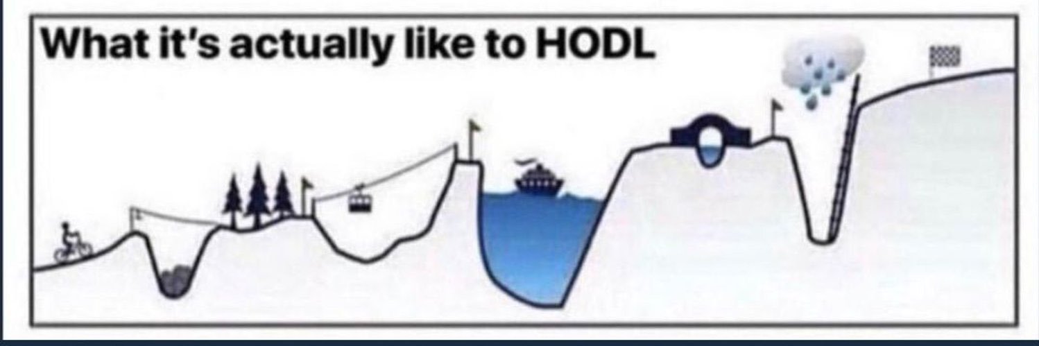 Lucky & Dash’s Uncle banner