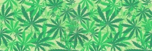 DistrictNORML's profile banner image