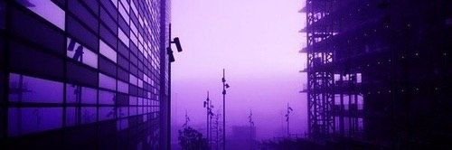 MissFox2002's profile banner image