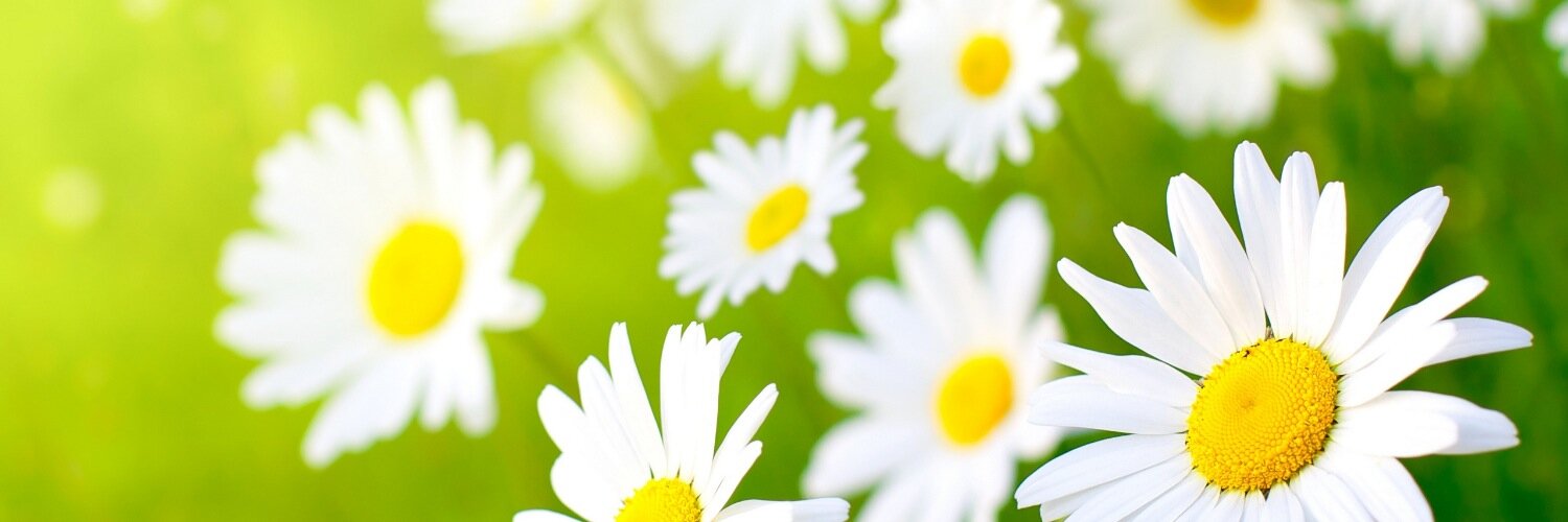 robagainandaga's profile banner image