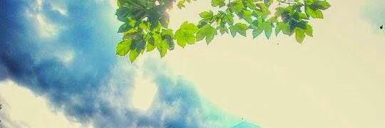 roxiscar's profile banner image