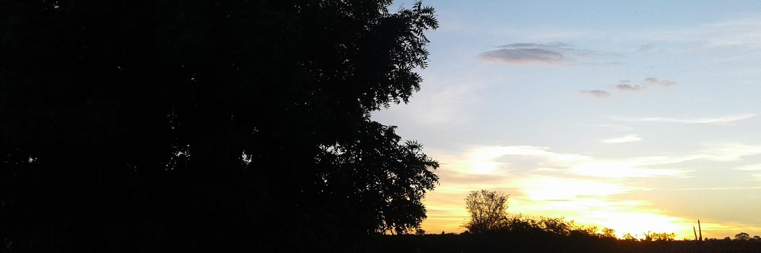thiago__rios's profile banner image
