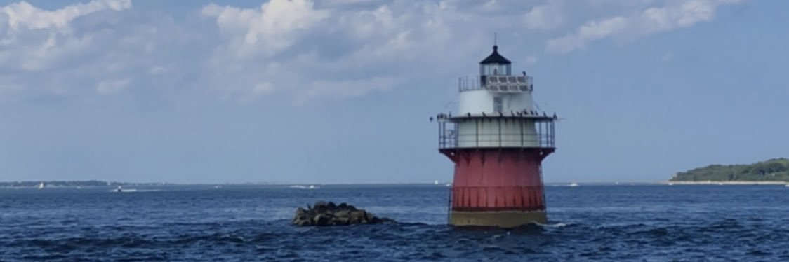 Will Nicholson banner