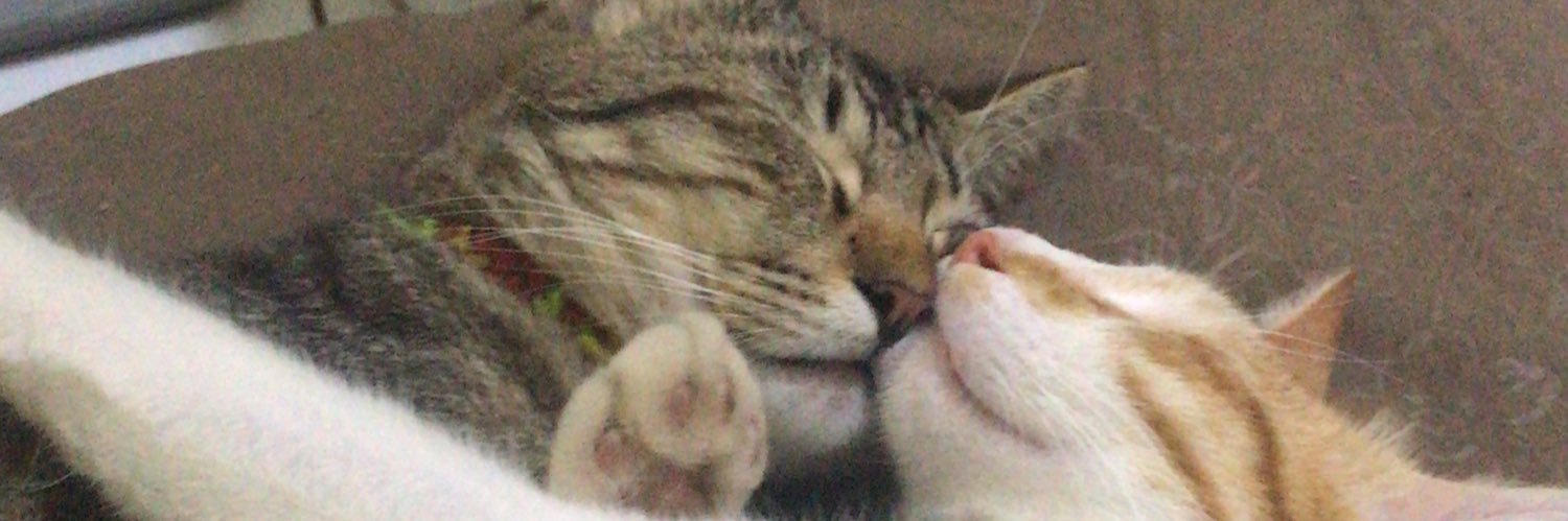 jaisyums's profile banner image