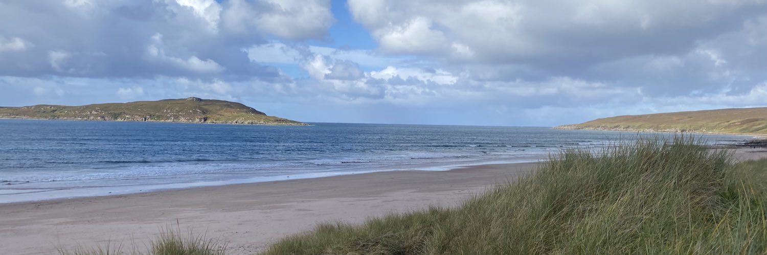 LY banner