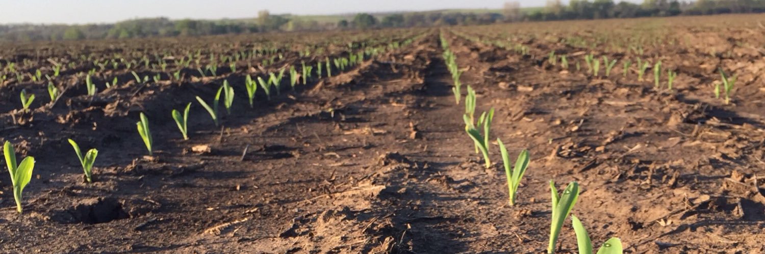 Quentin Bowen banner
