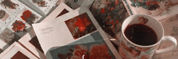 yoonsday_'s profile banner image